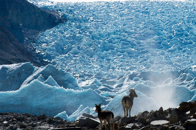 Түвэдийн Канбүрийн мөстлөгийн үзэмж