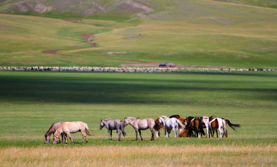 Өнөр баялаг Монголын сайхан тал нутаг
