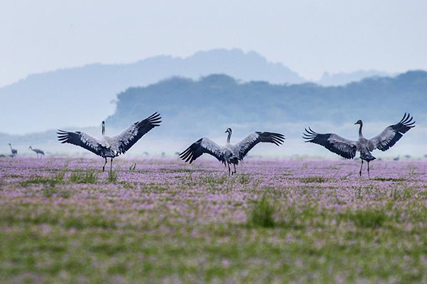 Синьхуа агентлагийн өнгөрсөн долоо хоногийн онцлох зургууд