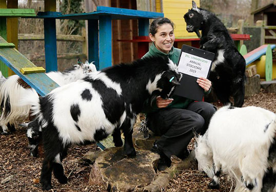 Лондоны амьтны хүрээлэн амитны оны тооллого хийв