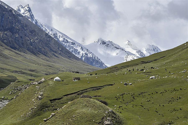 Үүлэн бэлчээр буюу экологийн гоо сайхан