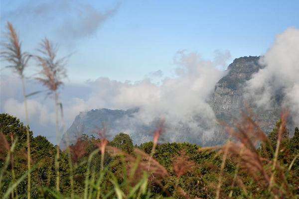 Али шань уулын намрын өнгө зураг шиг харагдана